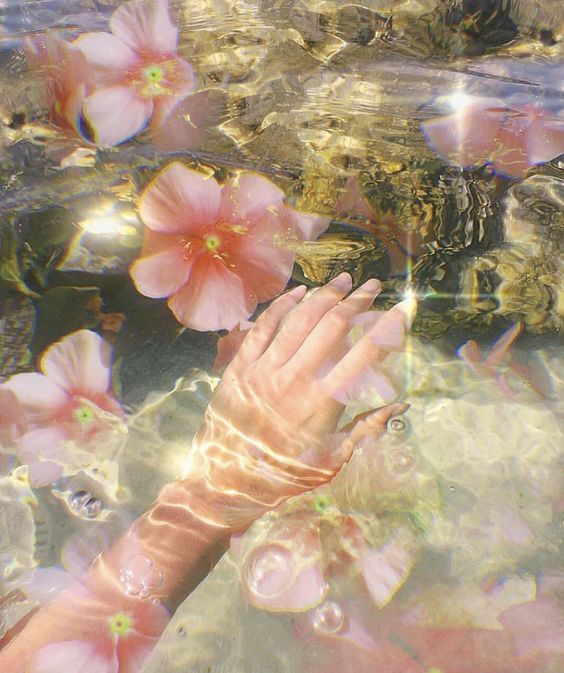 A Mindful afternoon in a Persian Garden